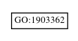 Graph of GO:1903362