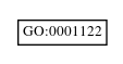 Graph of GO:0001122
