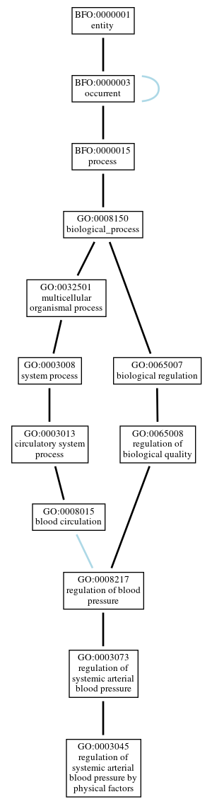 Graph of GO:0003045