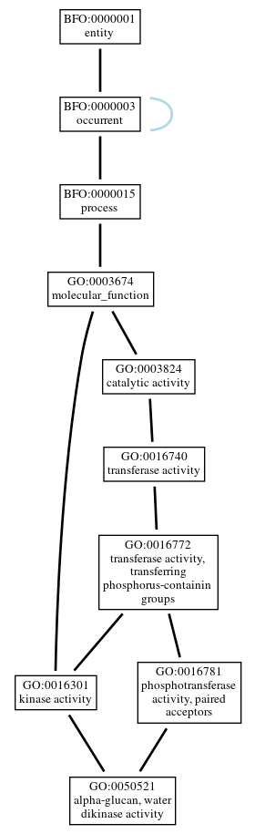 Graph of GO:0050521