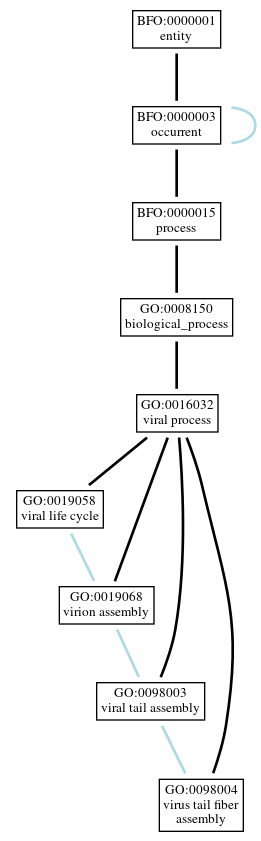 Graph of GO:0098004