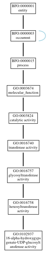 Graph of GO:0102937