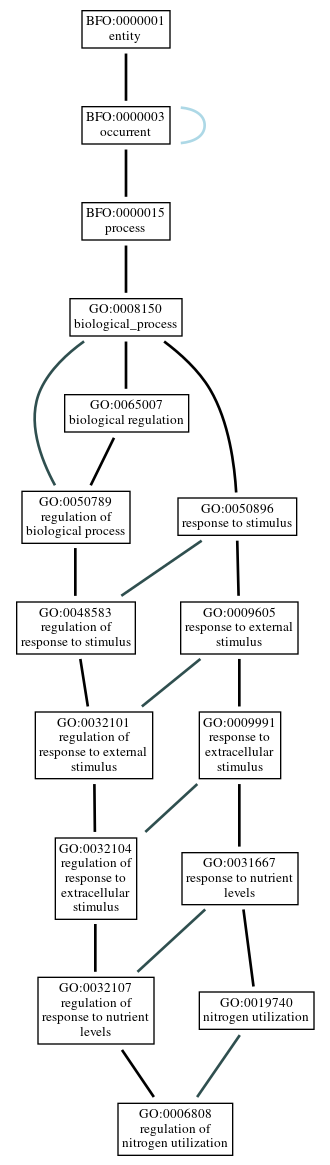 Graph of GO:0006808