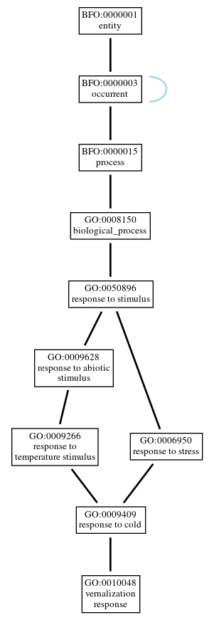 Graph of GO:0010048
