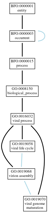 Graph of GO:0019070