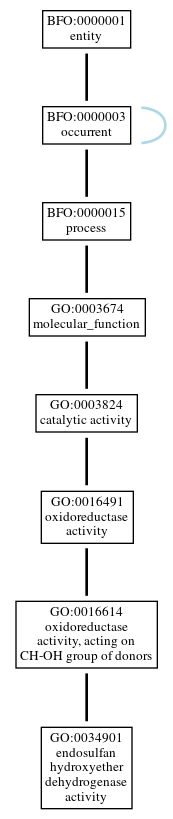 Graph of GO:0034901
