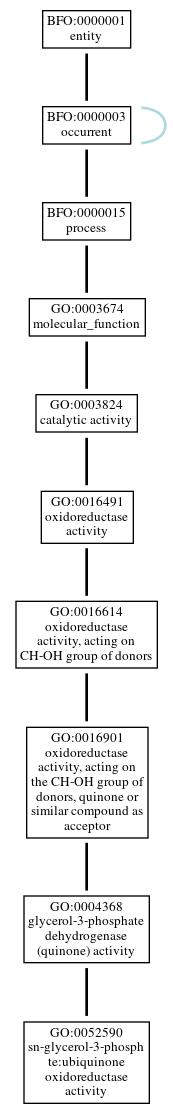 Graph of GO:0052590