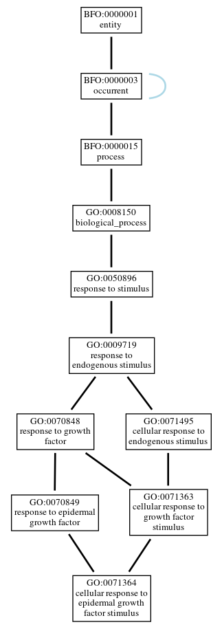 Graph of GO:0071364