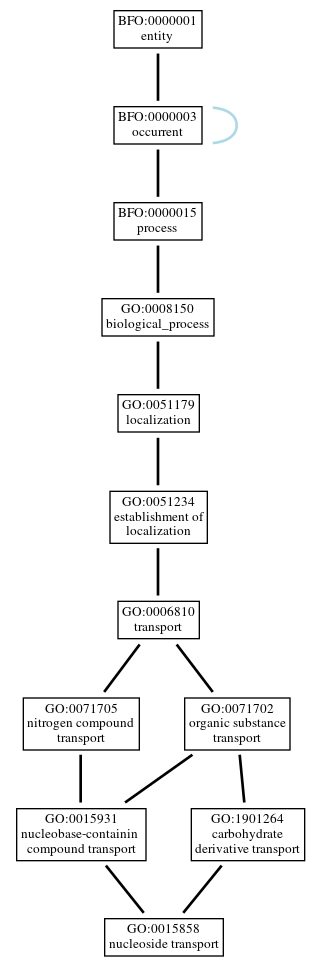 Graph of GO:0015858