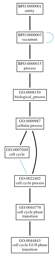Graph of GO:0044843