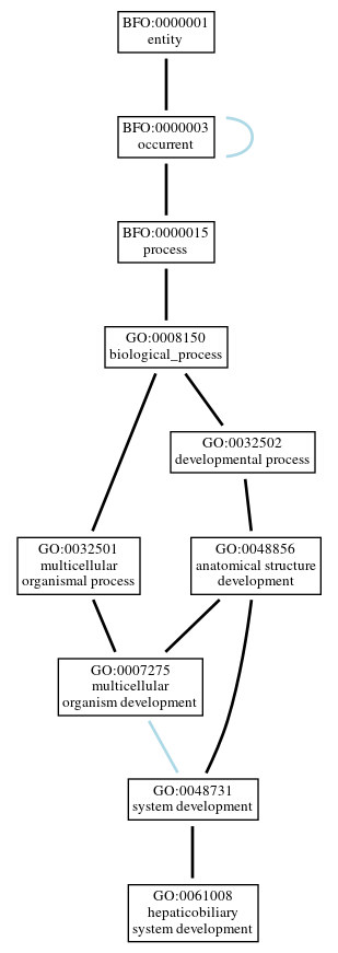 Graph of GO:0061008