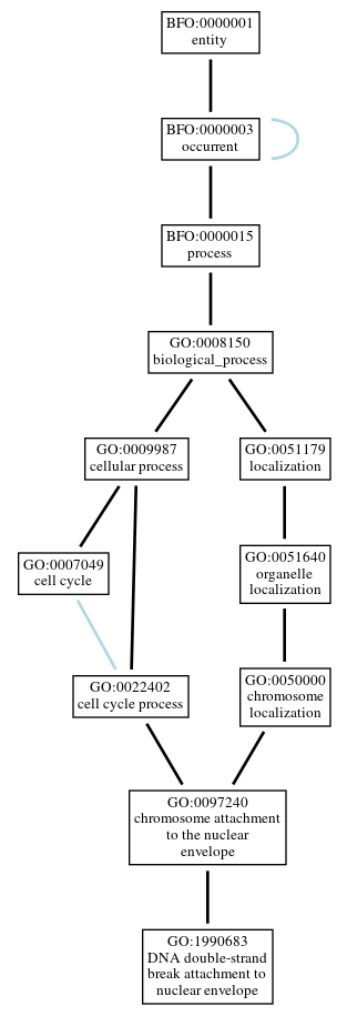 Graph of GO:1990683