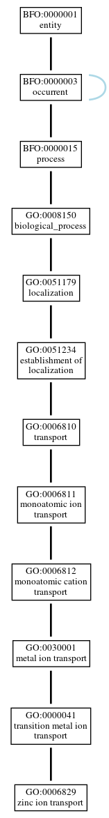 Graph of GO:0006829