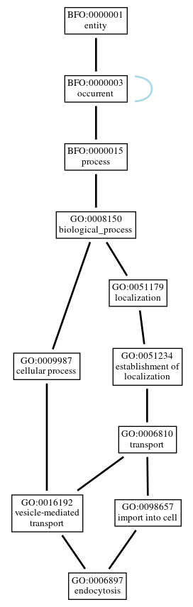 Graph of GO:0006897