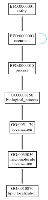 Graph of GO:0010876