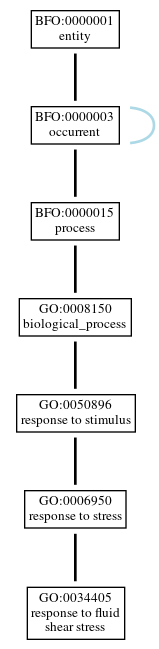 Graph of GO:0034405