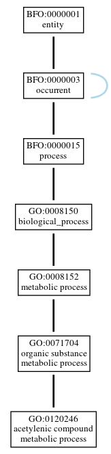 Graph of GO:0120246