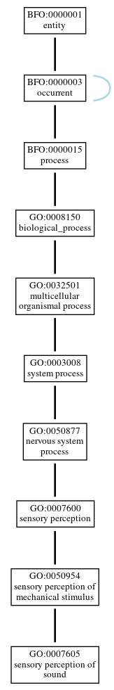 Graph of GO:0007605
