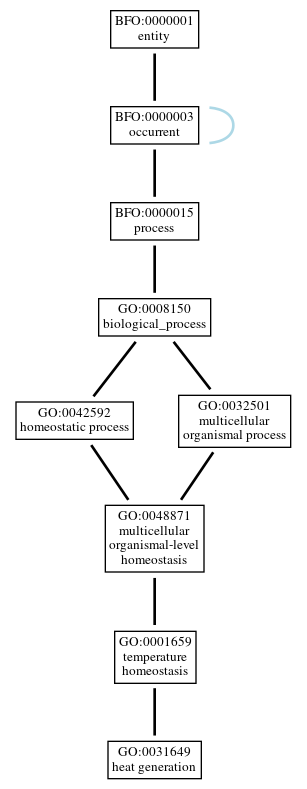 Graph of GO:0031649