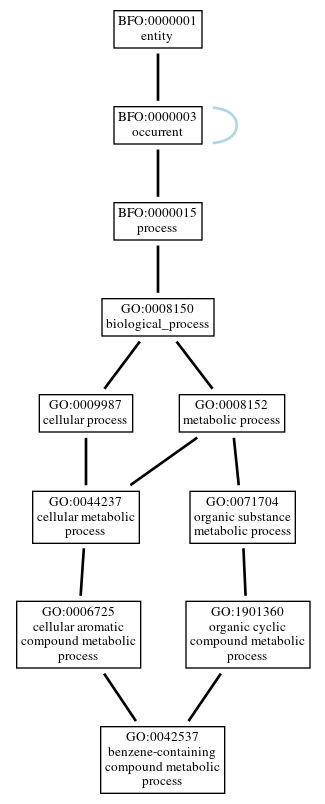 Graph of GO:0042537
