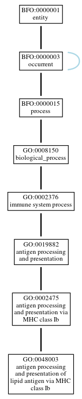 Graph of GO:0048003