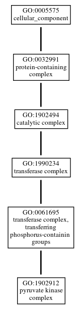 Graph of GO:1902912