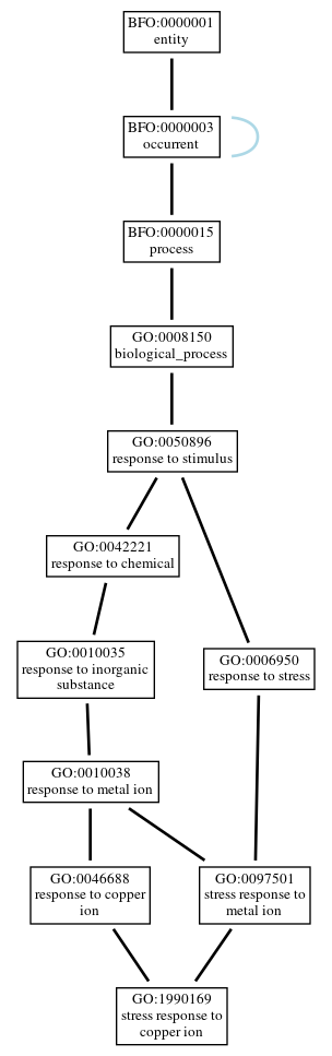 Graph of GO:1990169