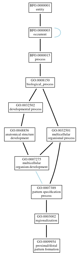 Graph of GO:0009954