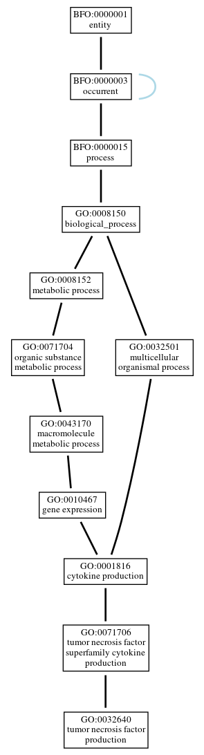 Graph of GO:0032640