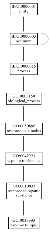 Graph of GO:0033993