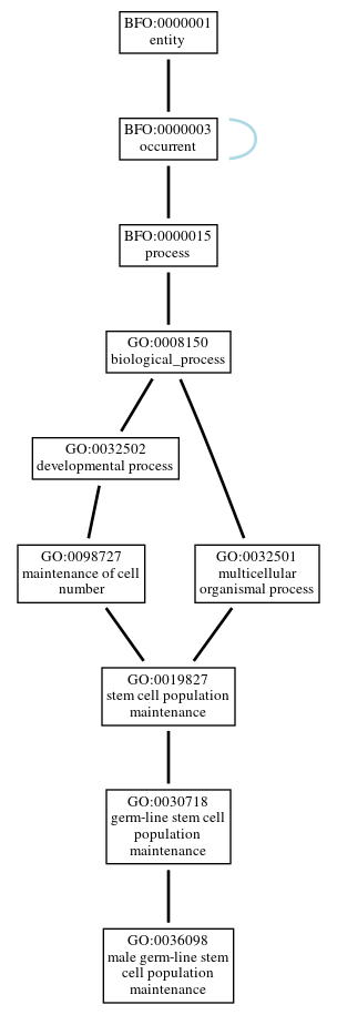 Graph of GO:0036098