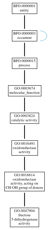 Graph of GO:0047904