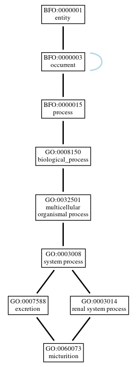 Graph of GO:0060073