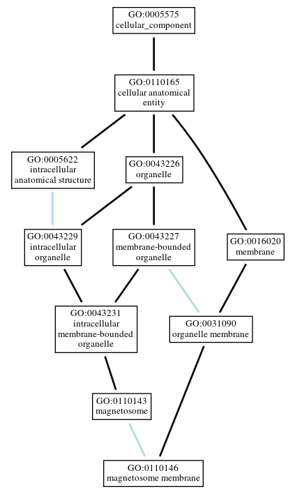 Graph of GO:0110146