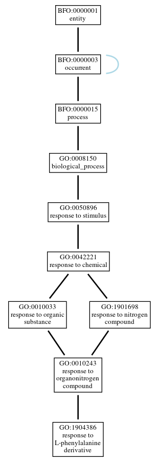 Graph of GO:1904386