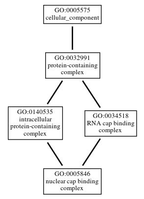 Graph of GO:0005846