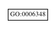 Graph of GO:0006348