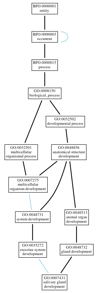Graph of GO:0007431