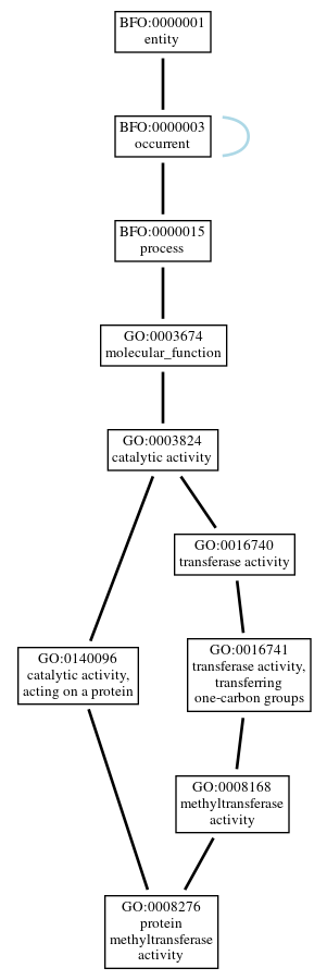 Graph of GO:0008276