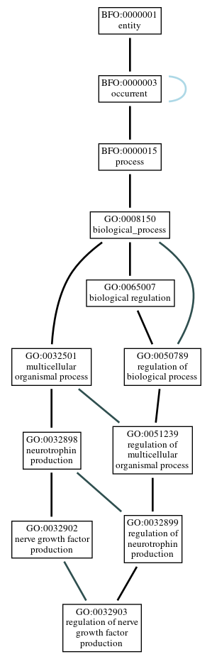 Graph of GO:0032903