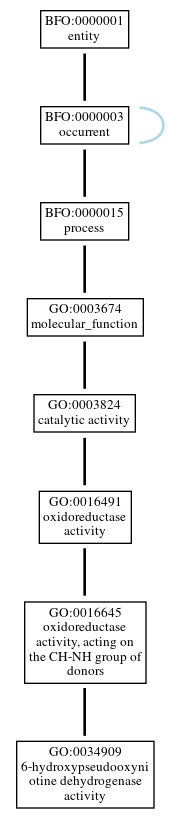 Graph of GO:0034909