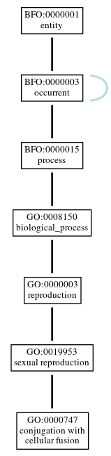 Graph of GO:0000747