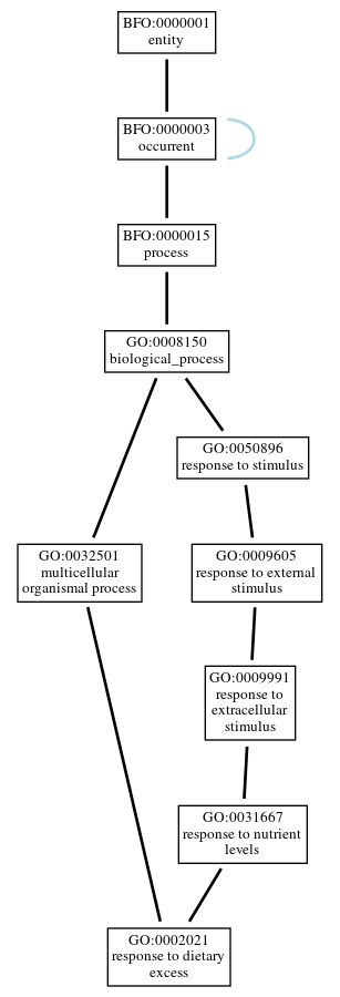 Graph of GO:0002021