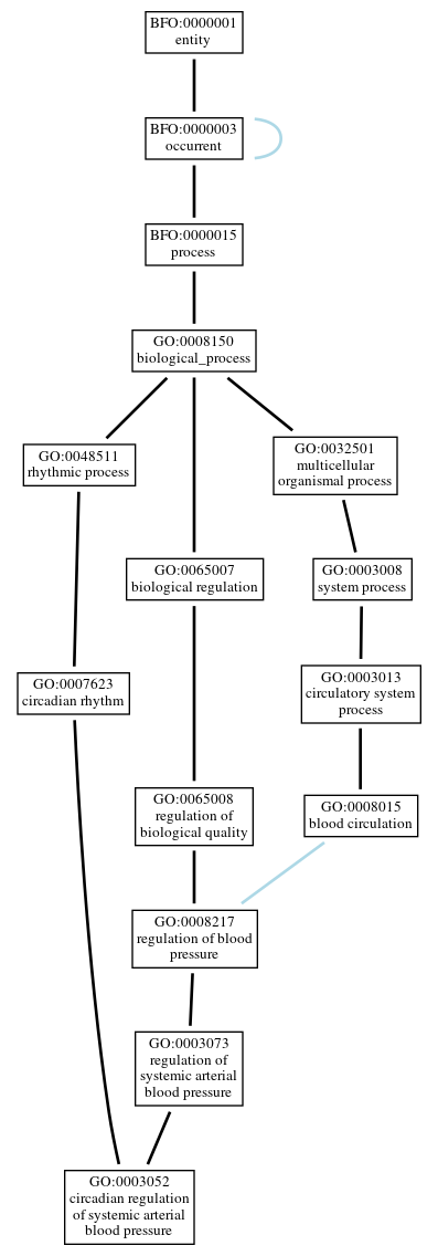 Graph of GO:0003052