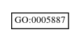 Graph of GO:0005887
