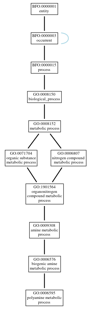 Graph of GO:0006595
