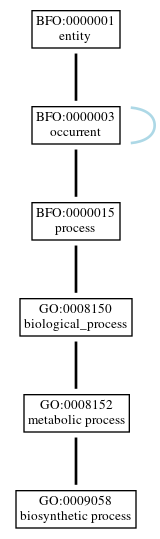 Graph of GO:0009058
