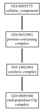 Graph of GO:0009368