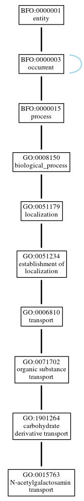 Graph of GO:0015763
