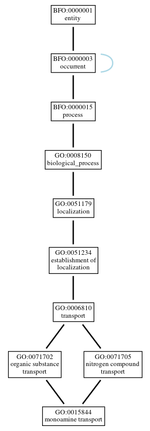 Graph of GO:0015844